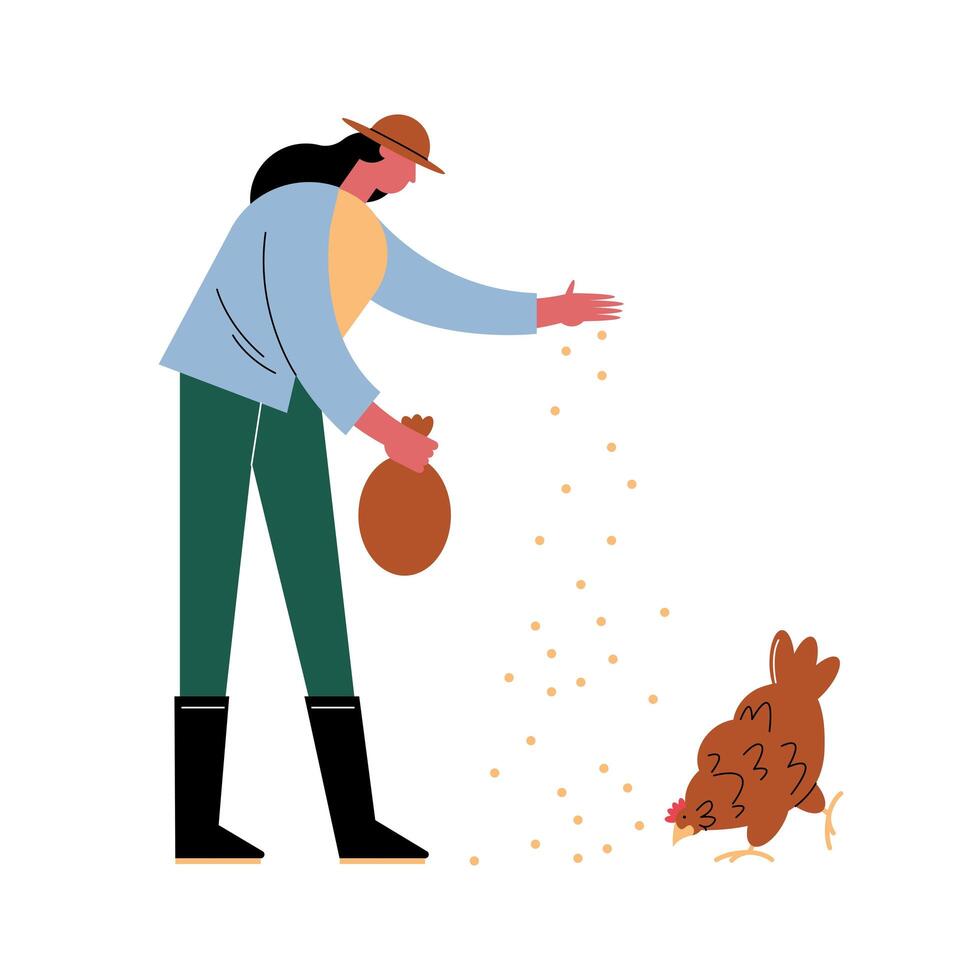 female farmer feeding hen vector