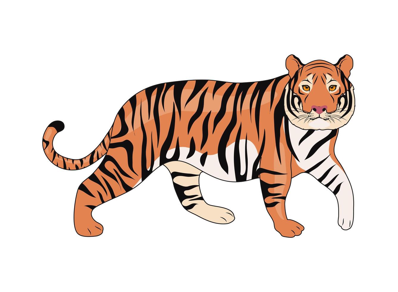 wild tiger animal vector