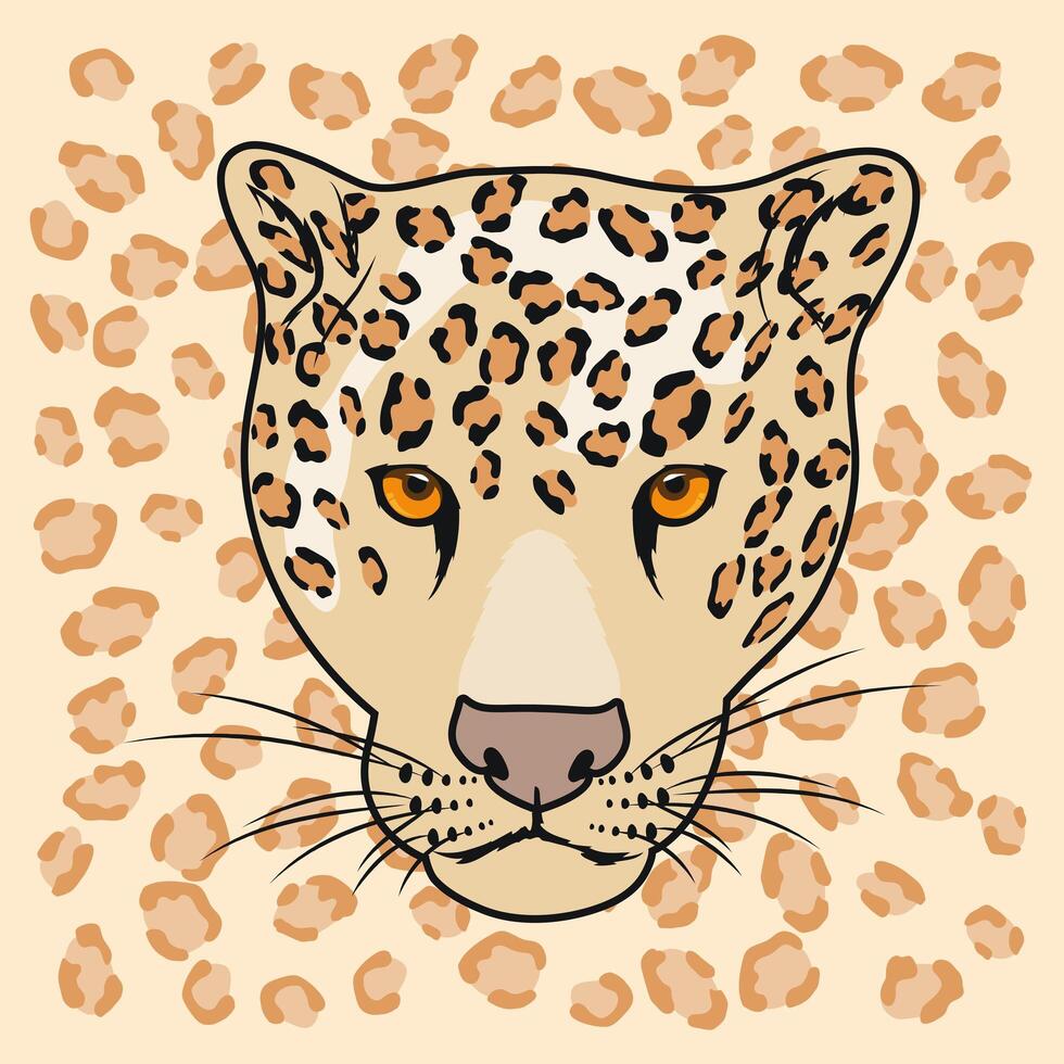 wild leopard head vector