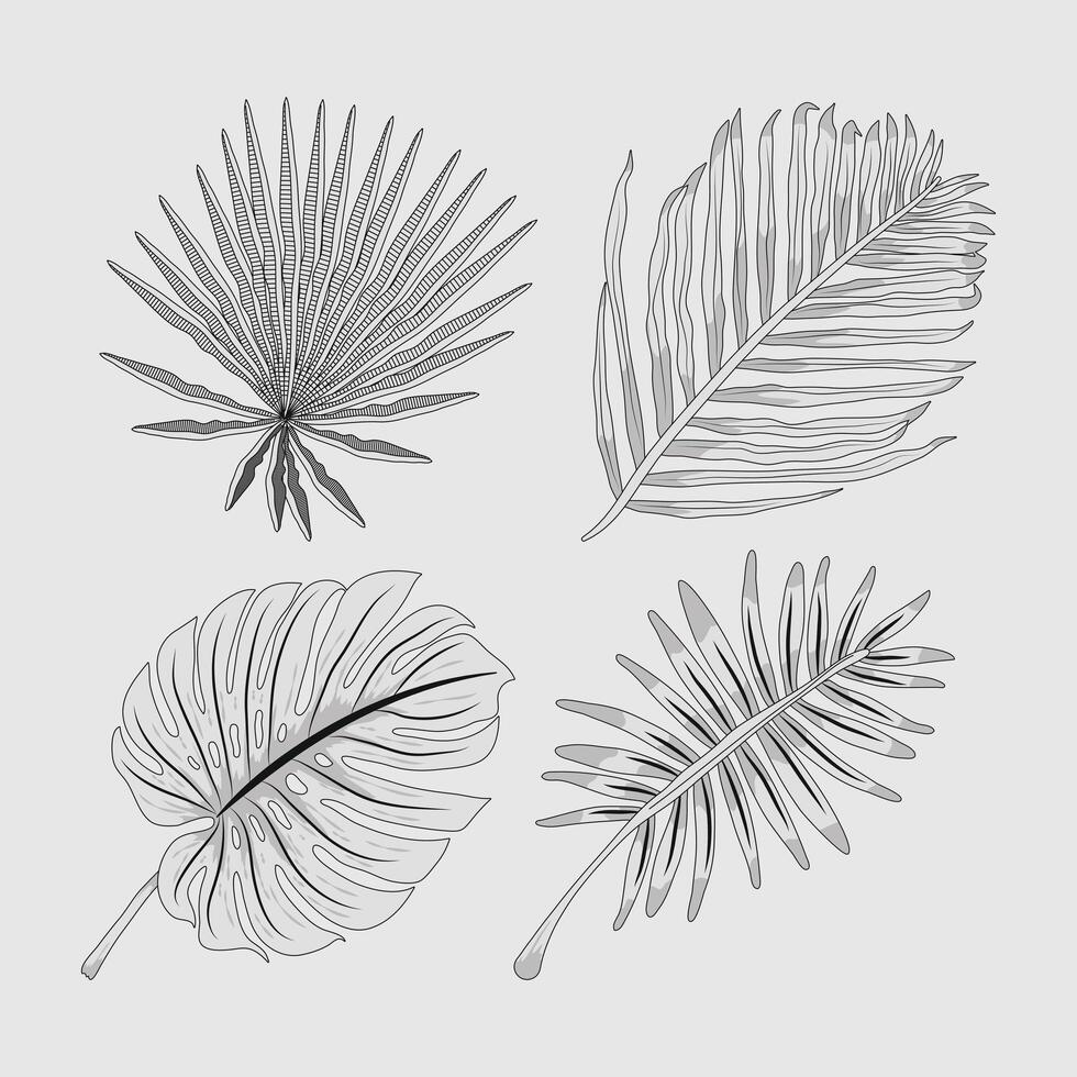 exotic tropical leafs vector