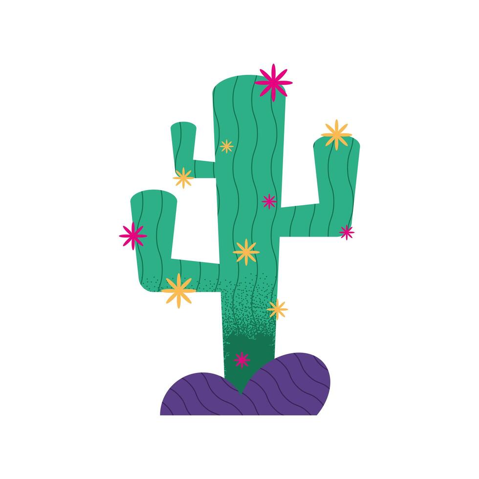 mexican cactu plant vector