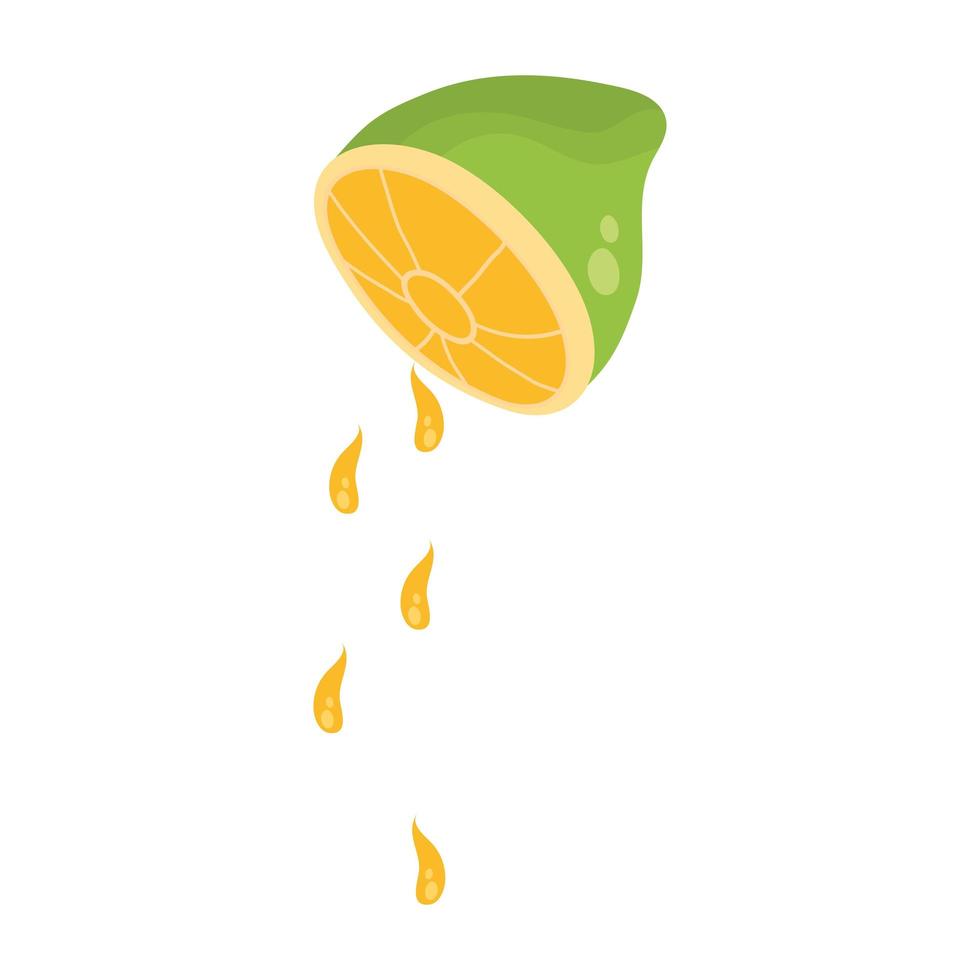 fresh lemon citrus fruit half icon vector