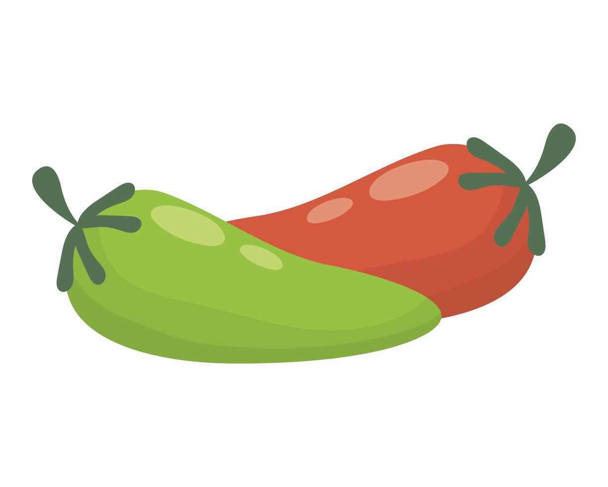 chili pepper hot vegetable icon vector