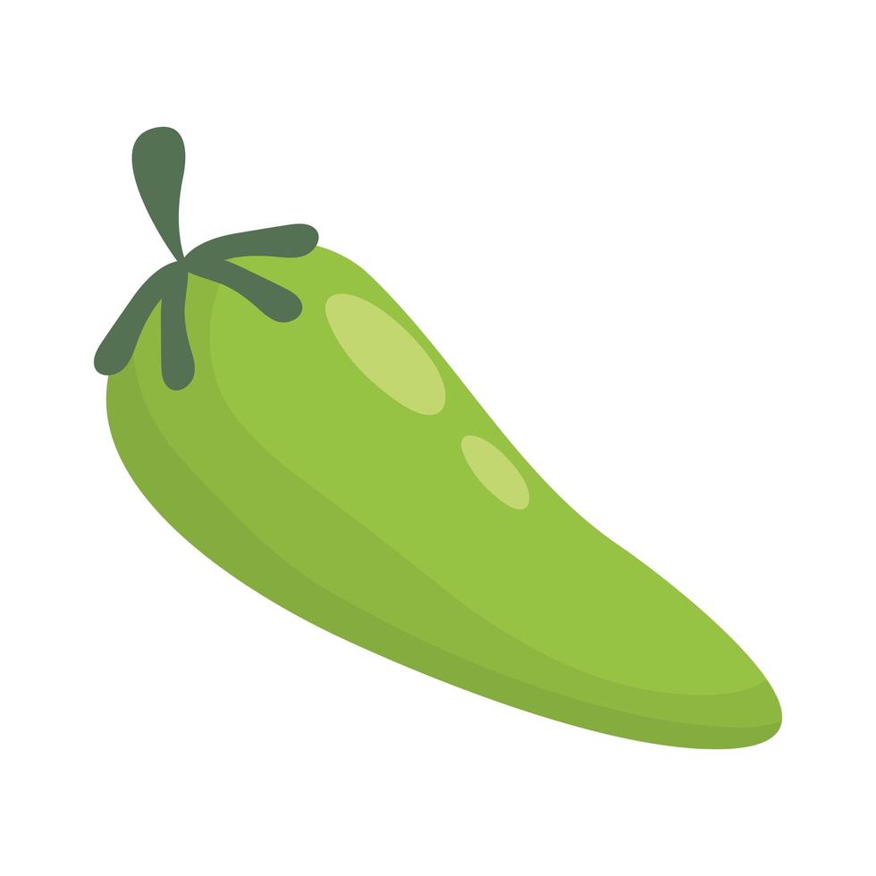 chili pepper hot vegetable icon vector