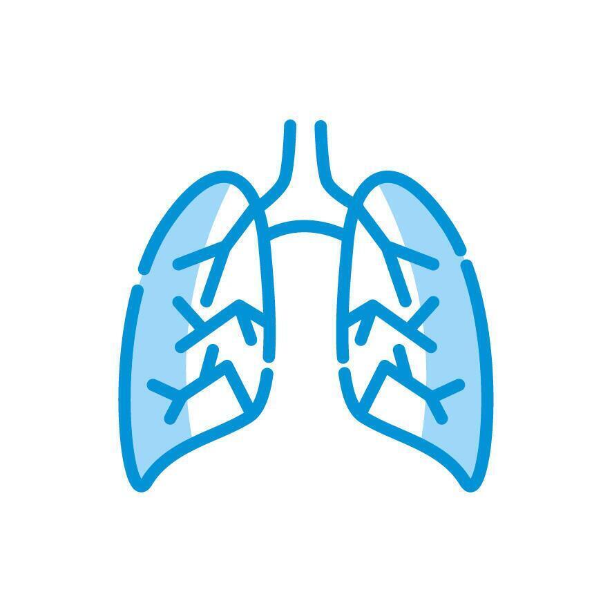 Diseño vectorial de icono de pulmones médicos aislados vector