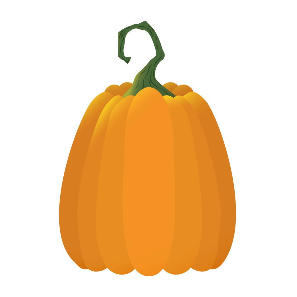 halloween pumpkin fruit seasonal icon vector