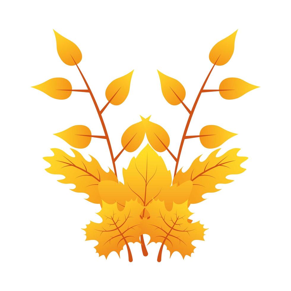 autumn leafs foliage seasonal decoration vector