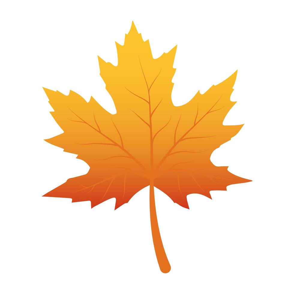 autumn leaf foliage seasonal icon vector