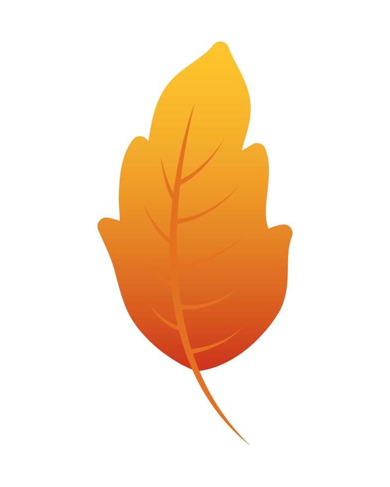 icono de temporada de follaje de hoja de otoño vector