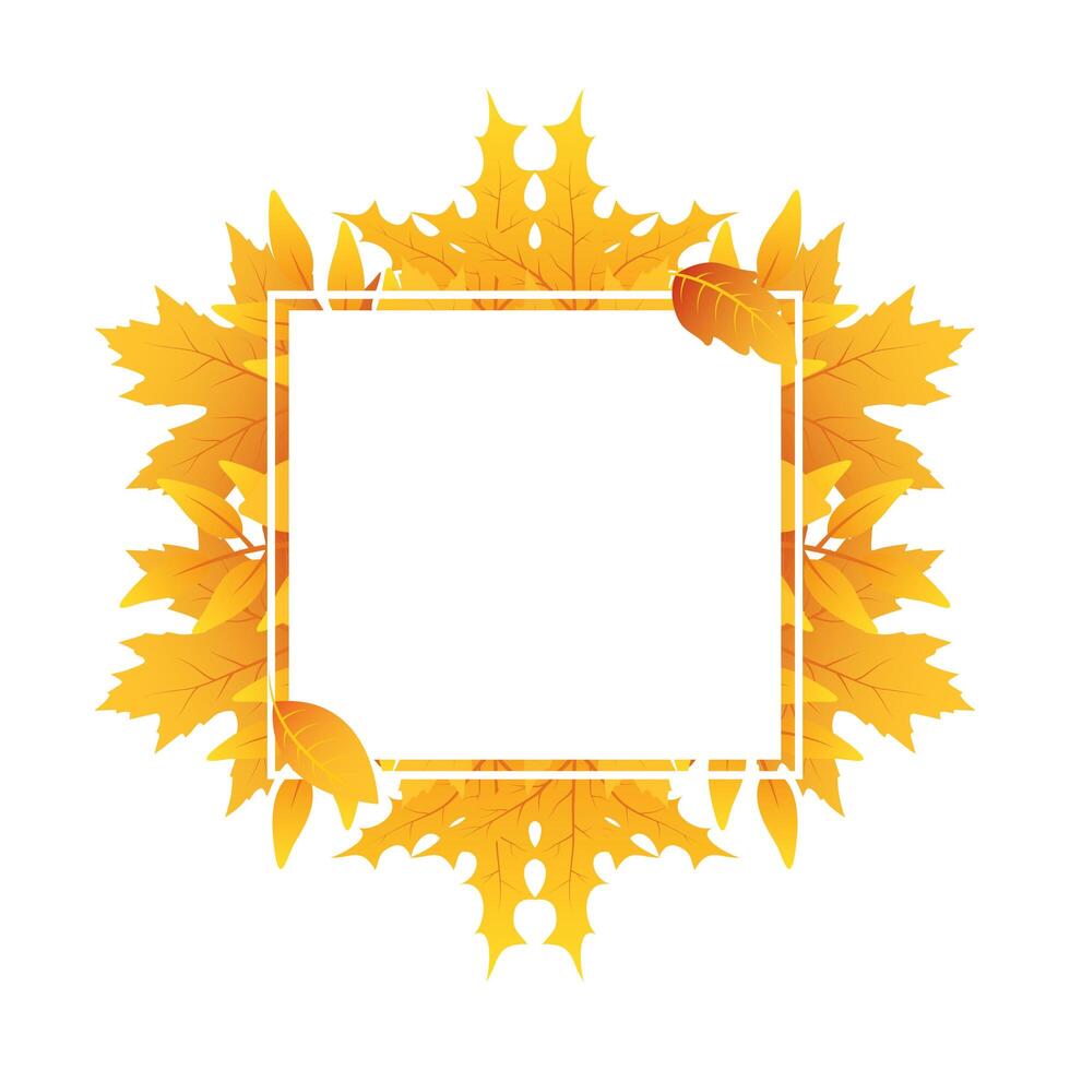 autumn square frame with leafs decoration vector