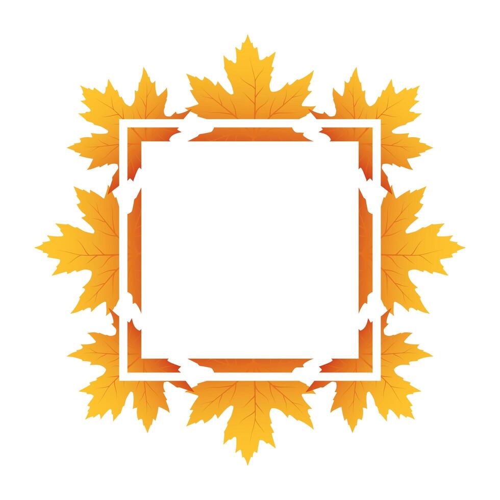 autumn square frame with leafs decoration vector