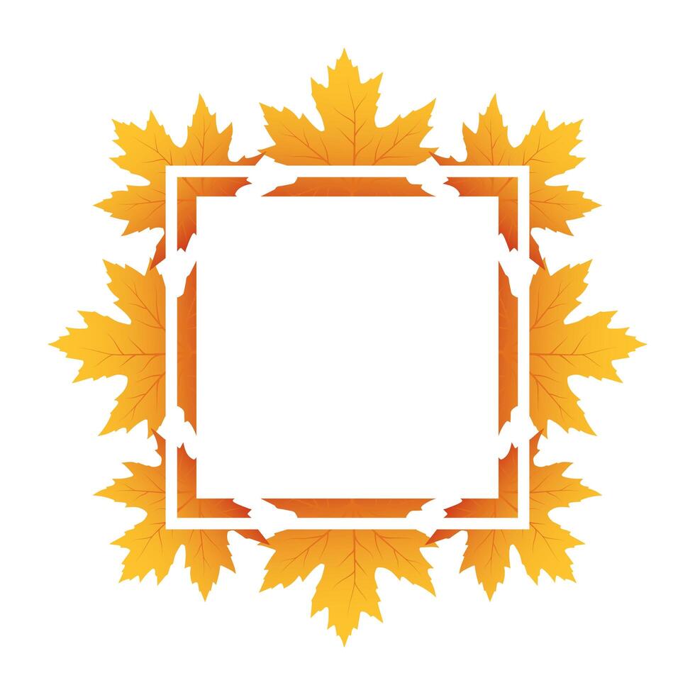 autumn square frame with leafs decoration vector