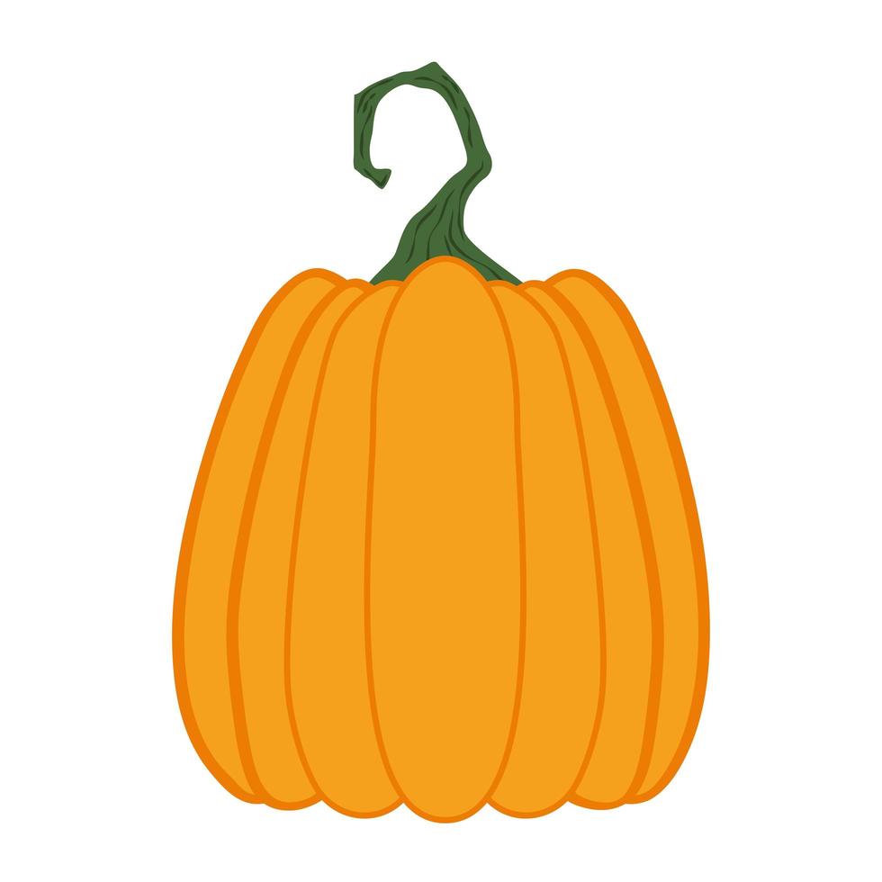 halloween pumpkin fruit seasonal icon vector