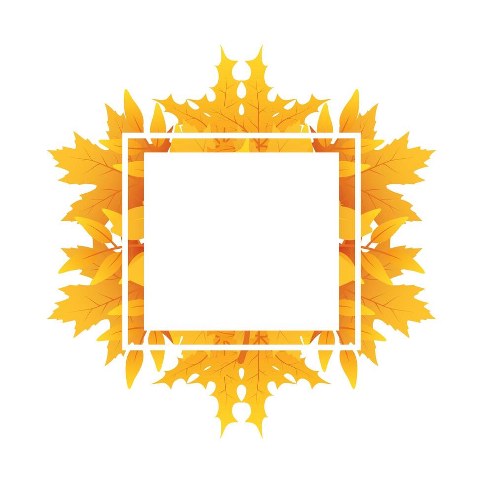 autumn square frame with leafs decoration vector