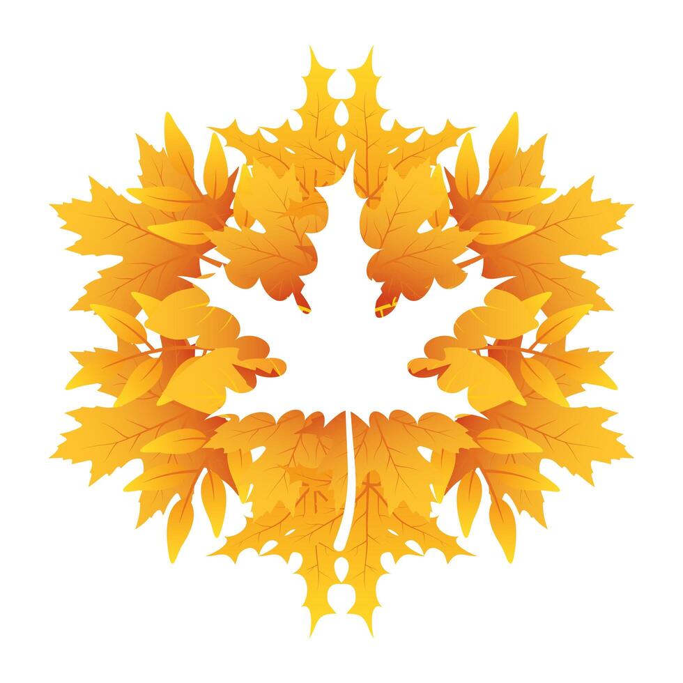 autumn leafs foliage with maple leaf shape vector