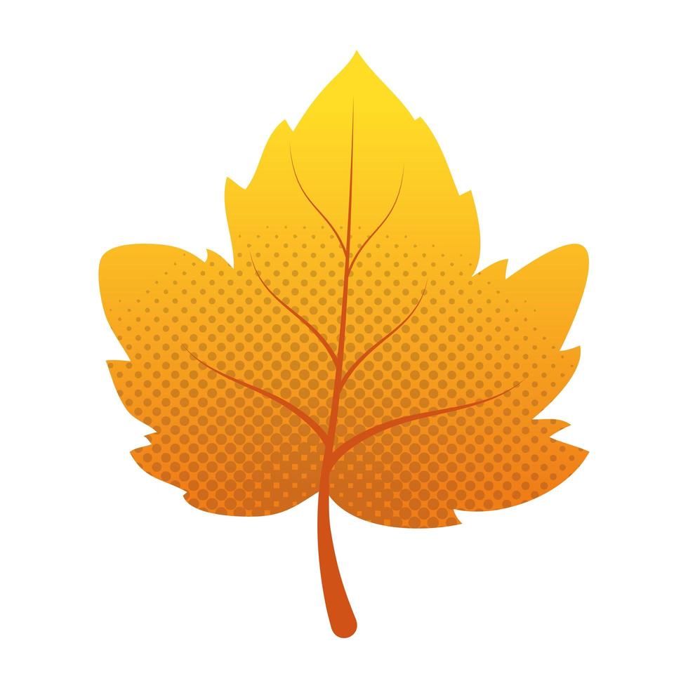 icono de temporada de follaje de hoja de otoño vector