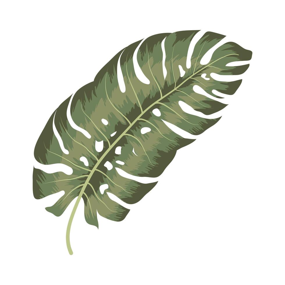 icono de monstera verde vector