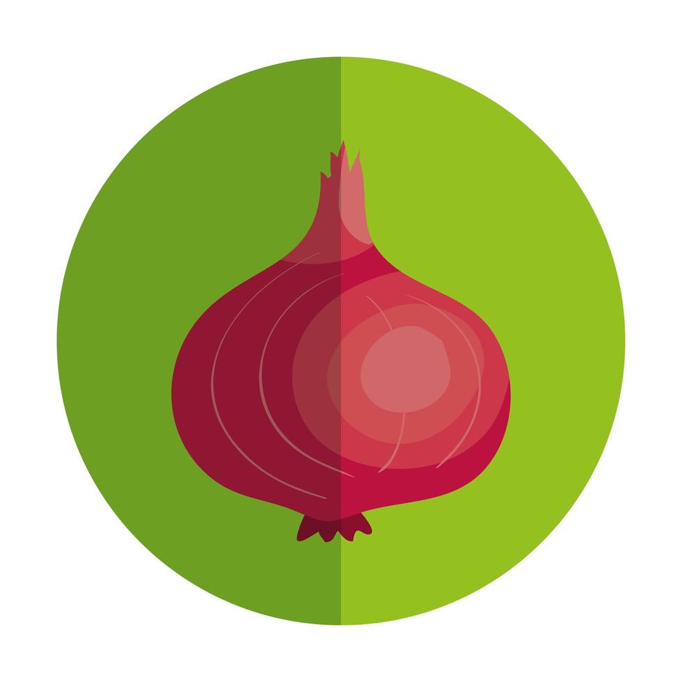purple onion vegetable in frame circular 4626190 Vector Art at Vecteezy