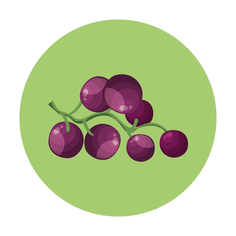 uvas frescas frutas en marco circular vector