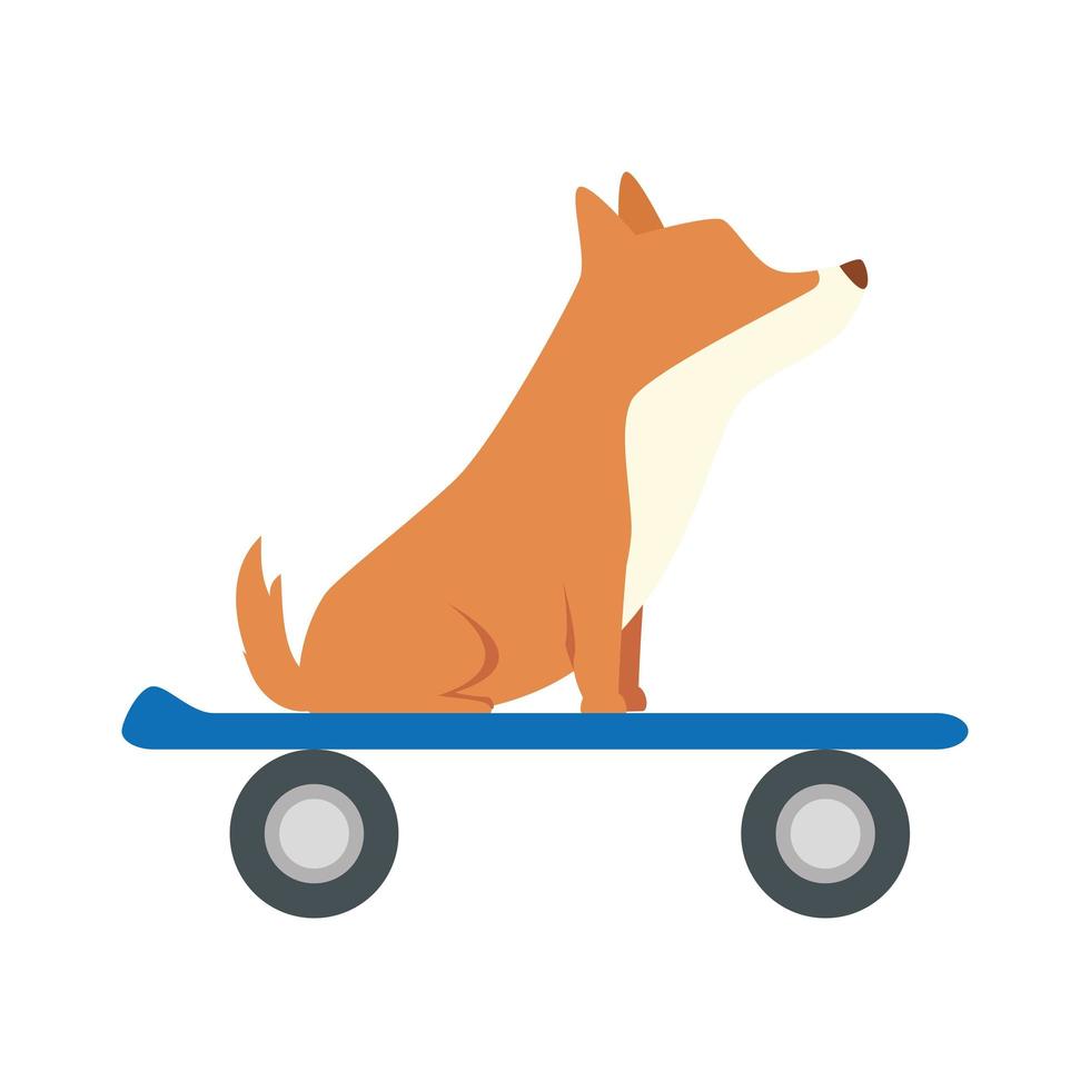 Lindo perro animal en patineta icono aislado vector