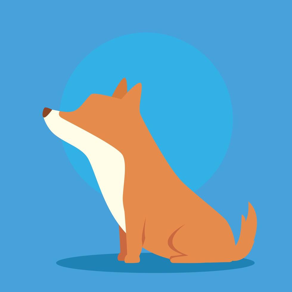 lindo perro animal en fondo azul vector