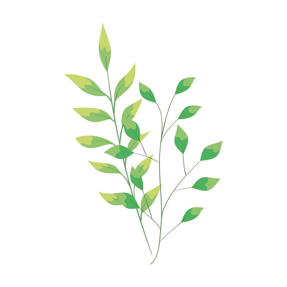 branches with leafs nature ecology isolated icon vector