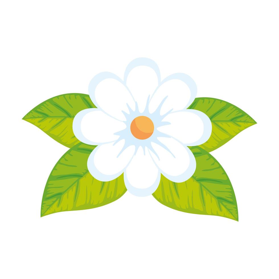 cute flower with leafs isolated icon vector