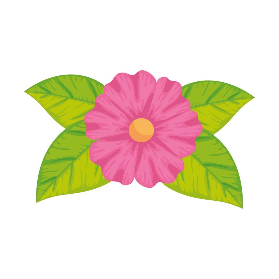 cute flower with leafs isolated icon vector