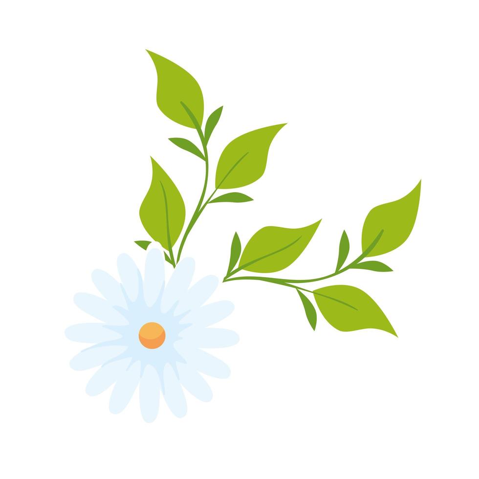 cute flower with leafs isolated icon vector