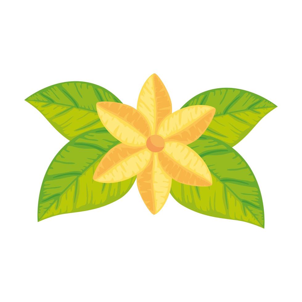 cute flower with leafs isolated icon vector