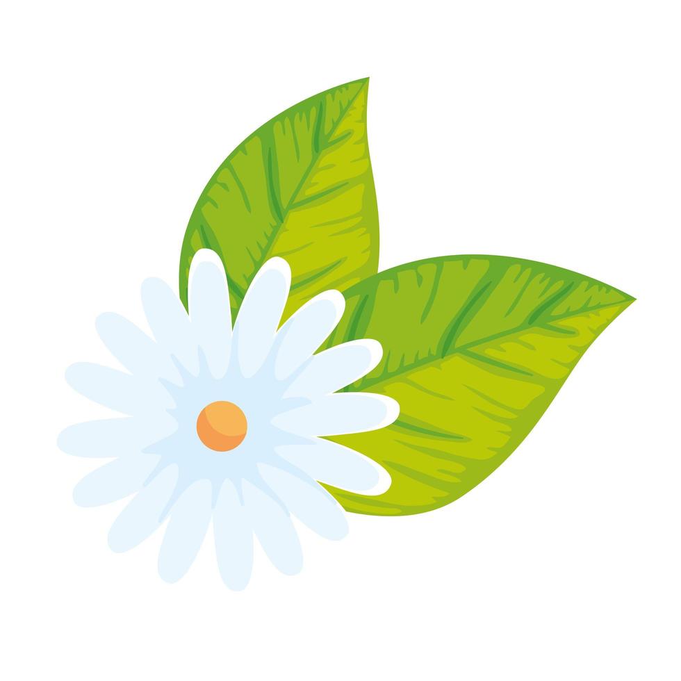 cute flower with leafs isolated icon vector