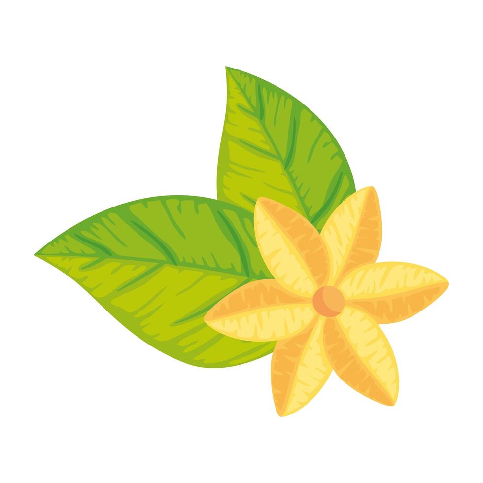 cute flower with leafs isolated icon vector
