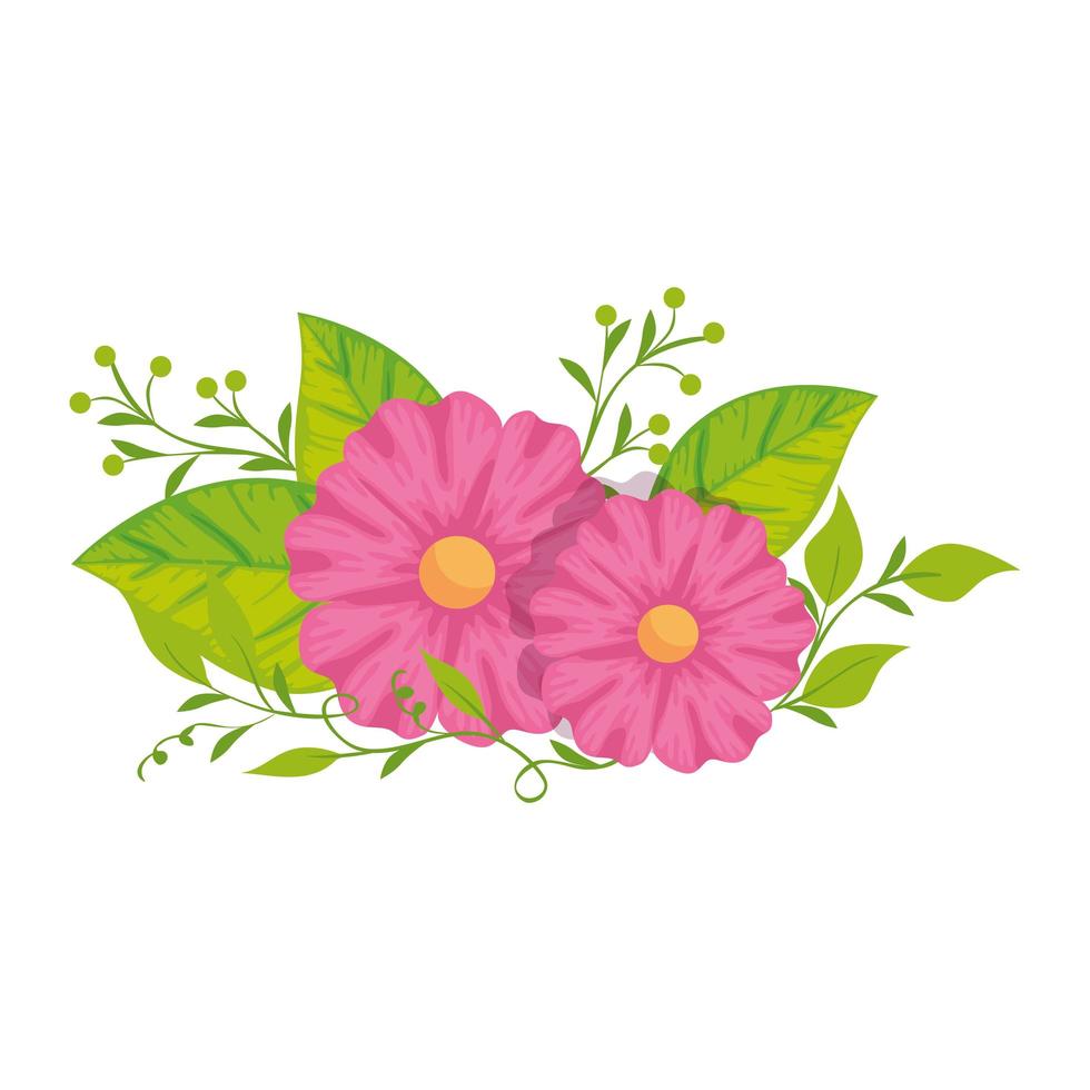 cute flowers with leafs isolated icon vector