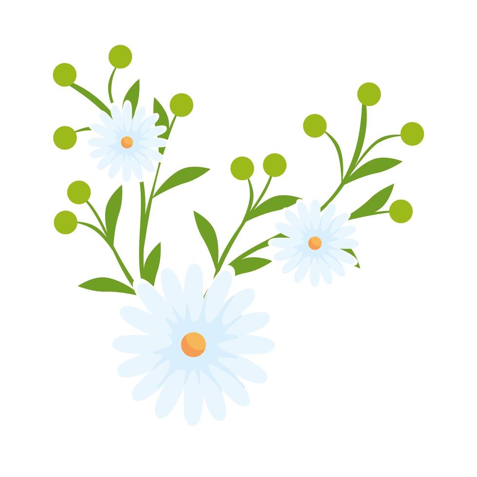 cute flowers with leafs isolated icon vector