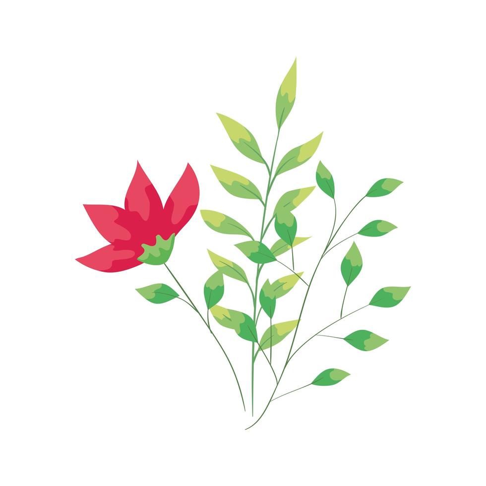 cute flower with branches and leafs vector