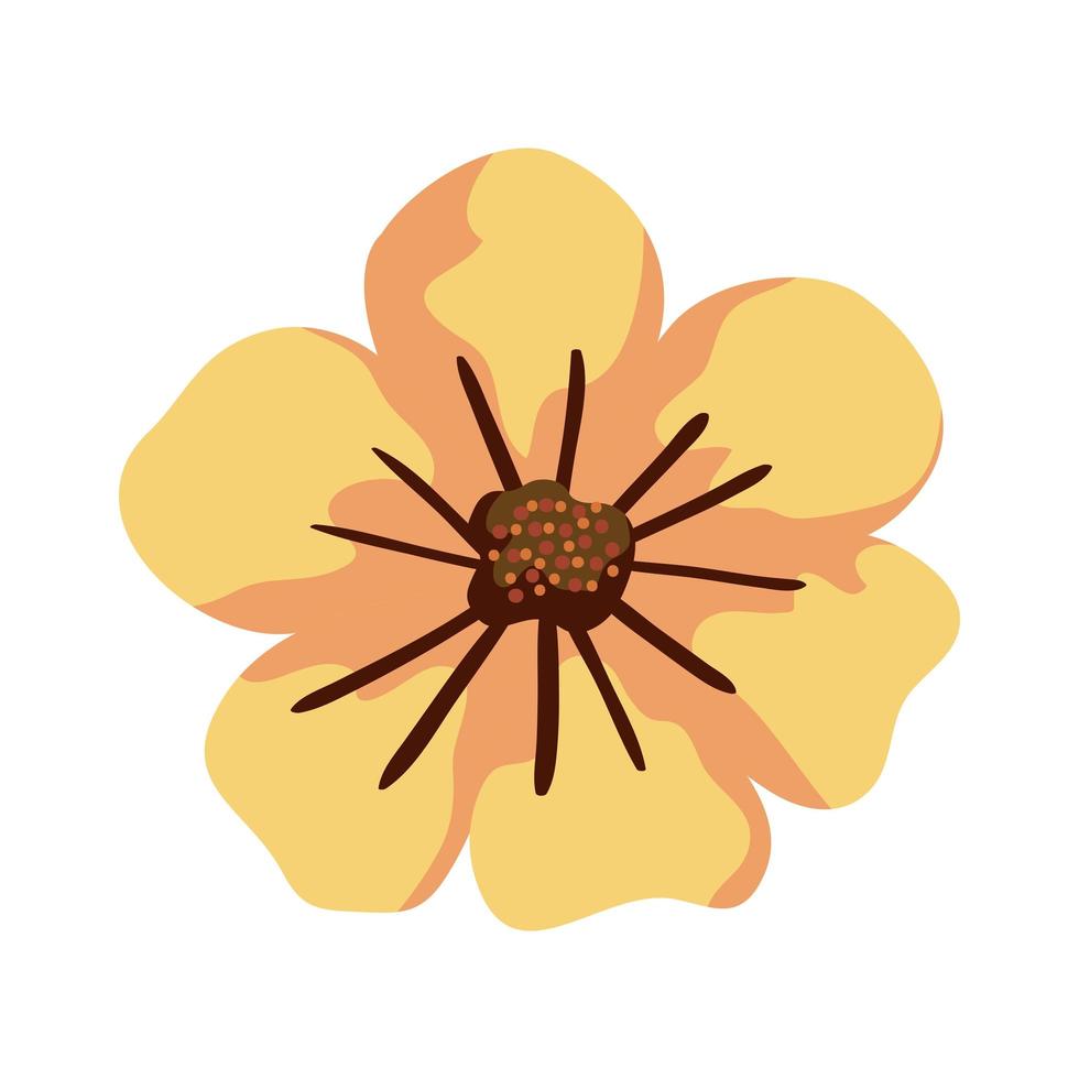 cute flower nature isolated icon vector