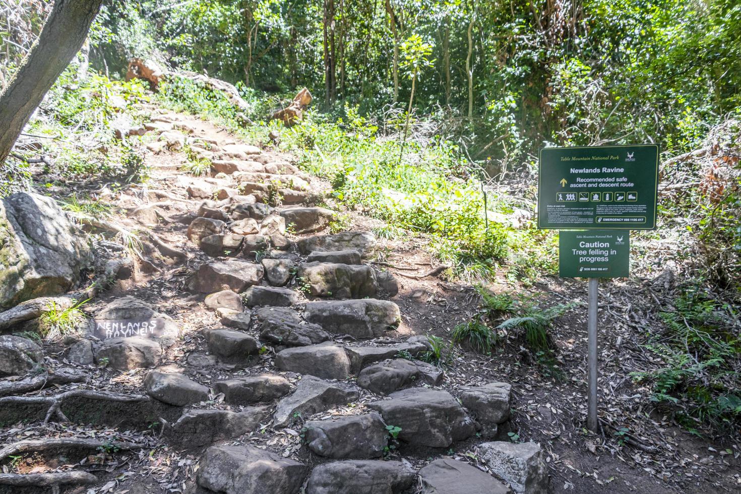 Ruta de senderismo pedregosa del barranco de Newlands en el parque nacional tablemoutain. foto