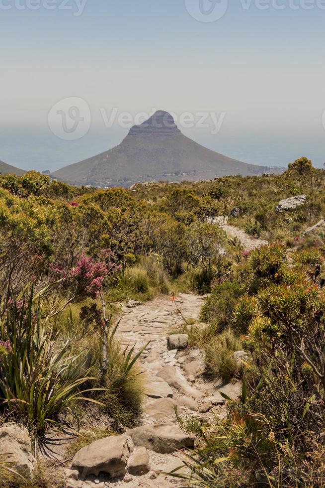 sendero a la montaña cabeza de leones parque nacional de la montaña de la mesa. foto