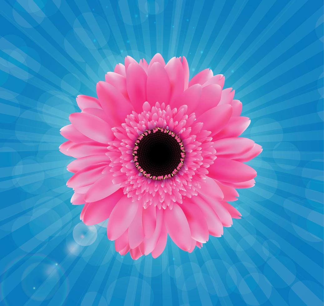 Flor de gerbera aislada en la ilustración de vector de fondo blanco