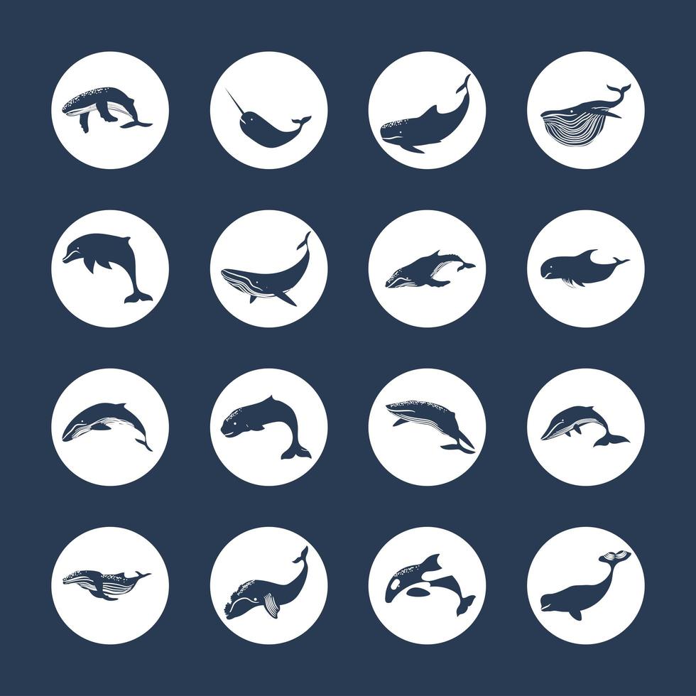 set silhouette of whales vector