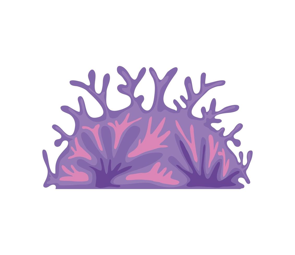 corals reef isolated vector