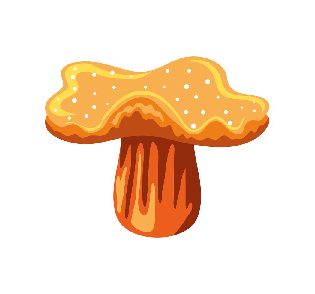 coral over white background vector