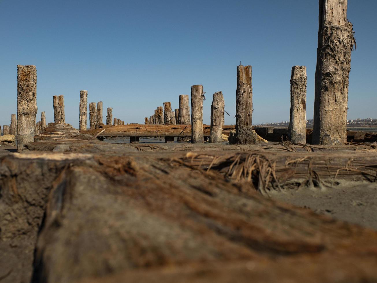 Bolardos de madera en la arena. foto