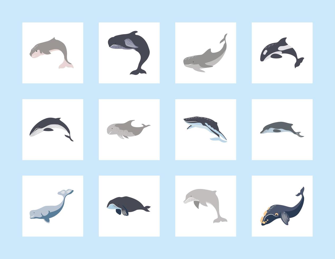 iconos ballenas y delfines vector
