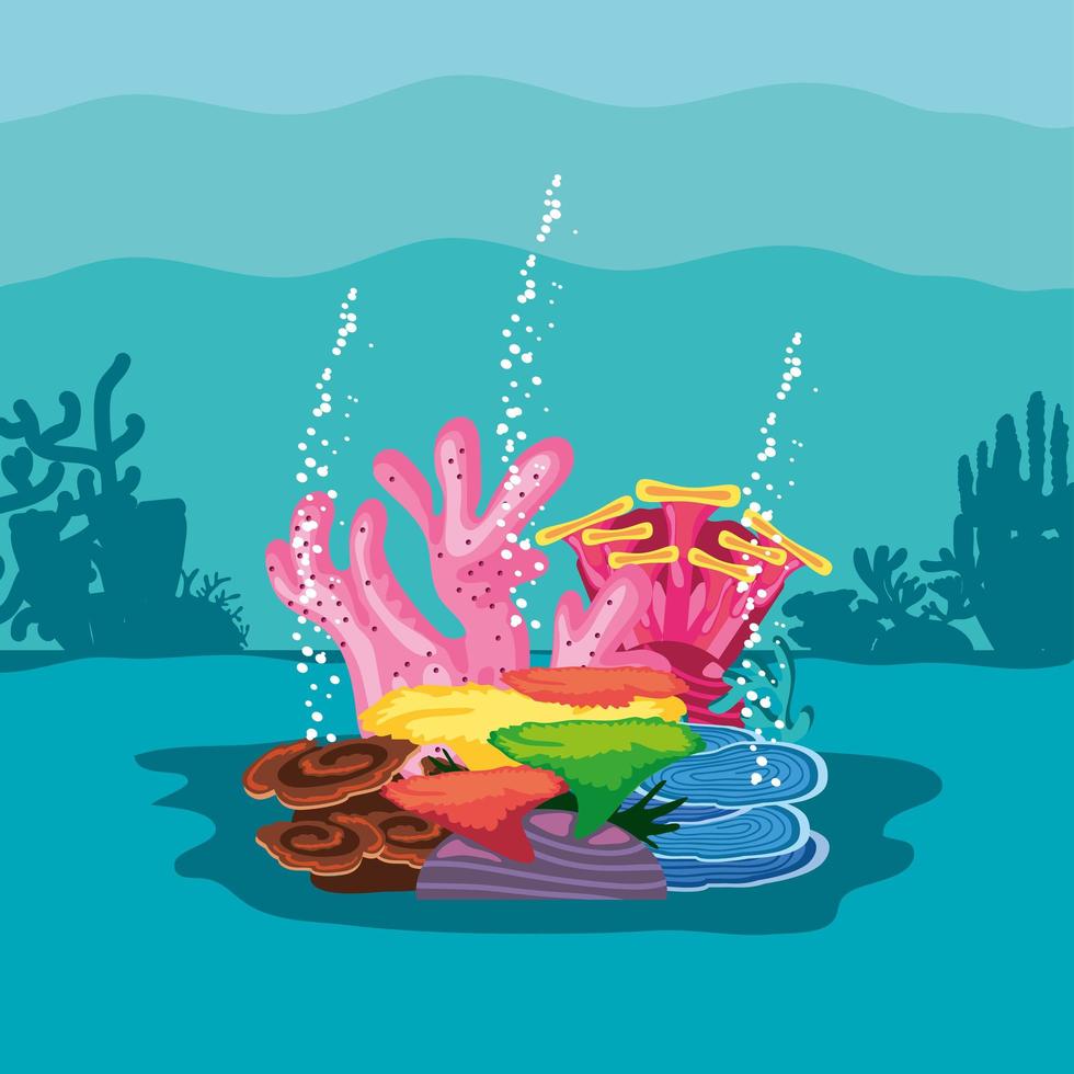 corals marine reef vector