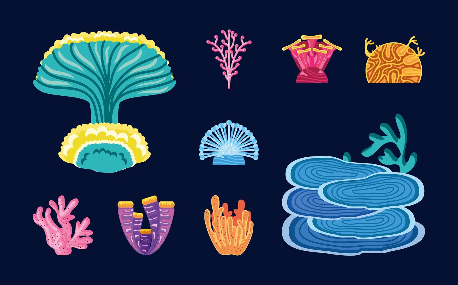 sea corals reef vector