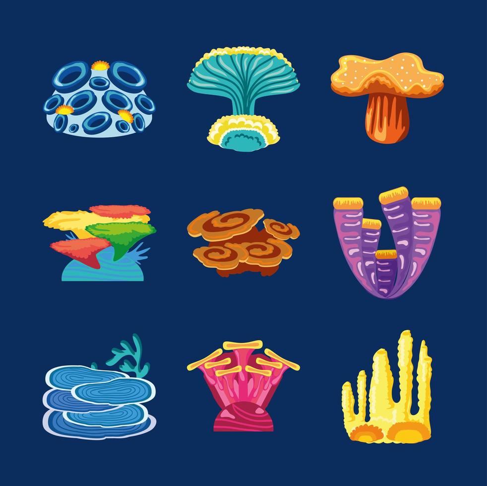 different of colored coral reef vector