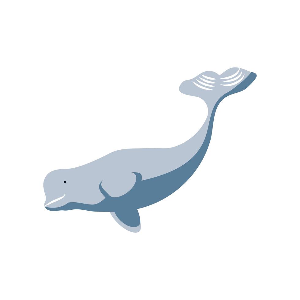 icono de ballena beluga vector