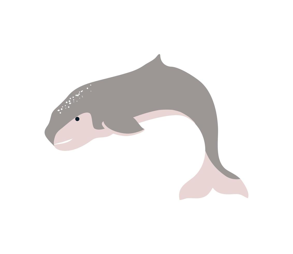 whale underwater animal vector