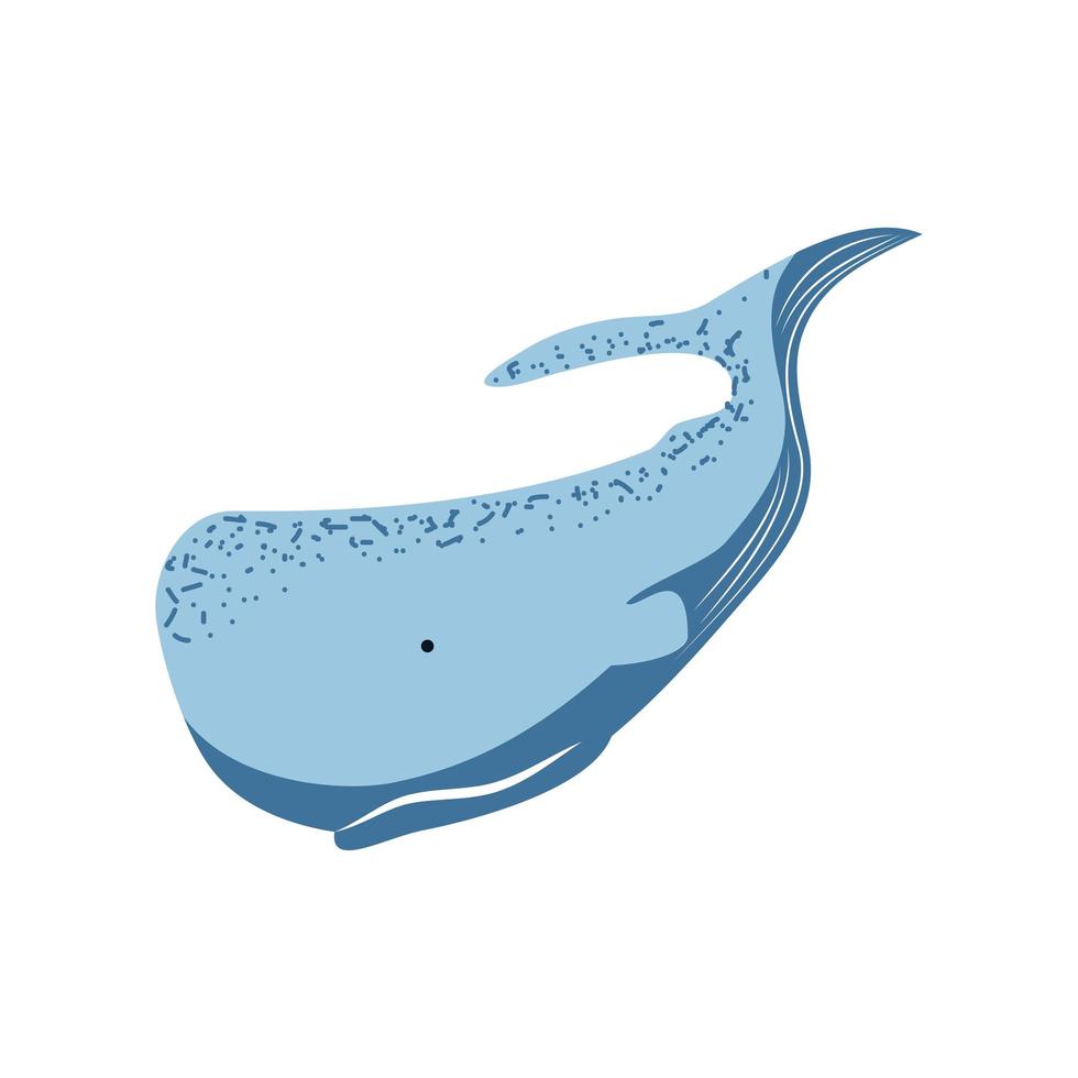 icono de ballena cachalote vector